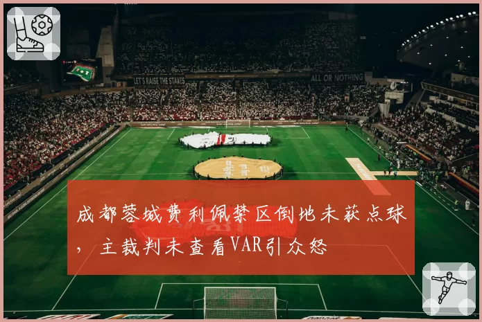 成都蓉城费利佩禁区倒地未获点球，主裁判未查看VAR引众怒