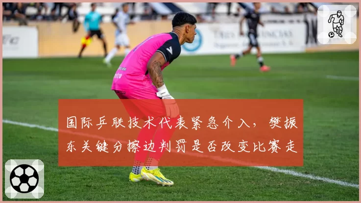 国际乒联技术代表紧急介入,樊振东关键分擦边判罚是否改变比赛走向?