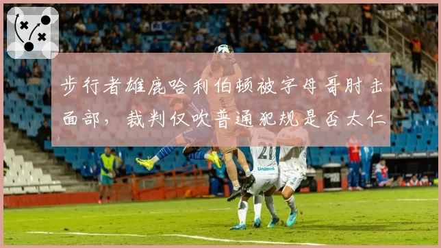 步行者雄鹿哈利伯顿被字母哥肘击面部,裁判仅吹普通犯规是否太仁慈?